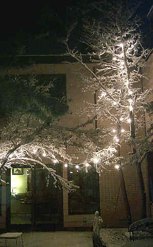 snow in the courtyard